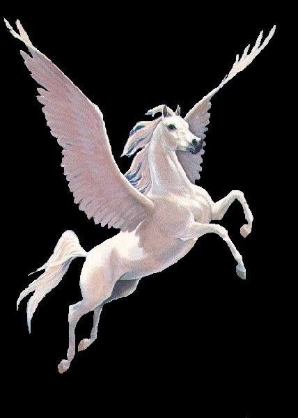 Horse With Wings, Pegasus Tattoo, Horse Wallpapers, Pegasus Art, Pegasus Unicorn, Magical Horses, Unicorn Pictures, Winged Horse, Fantasy Horses