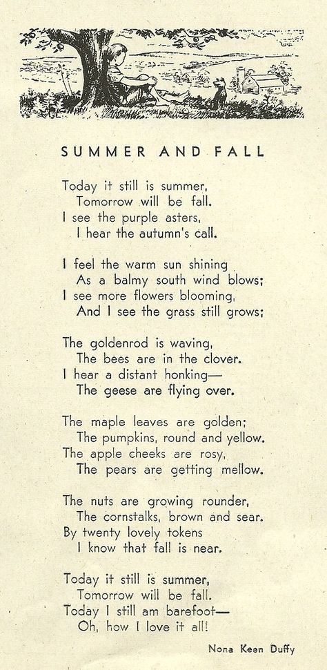 summer and fall | Millie Motts | Flickr Poetry Quotes, Tatabahasa Inggeris, Autumn Poems, Fina Ord, Poem Quotes, A Poem, Pretty Words, The Words, Beautiful Words