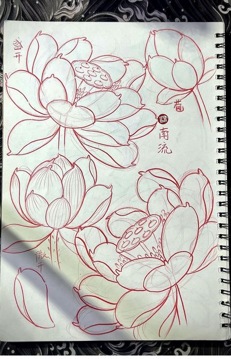 Japanese Lotus Painting, Lotus Sketch Drawing, Lotus Chinese Painting, How To Draw Lotus, Japanese Lotus Flower Tattoo Design, Lotus Drawing Tattoo, Lotus Flower Drawing Tattoo, Lotus Drawing Art, Japanese Flowers Drawing