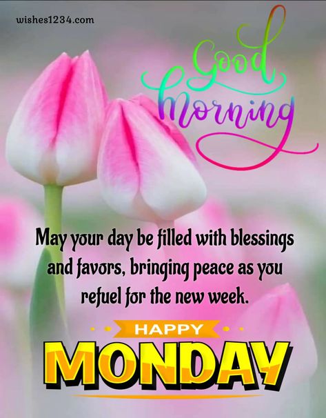 Monday Motivations and blessings to inspire your Week Monday Morning Greetings, Monday Morning Prayer, Blessed Monday, Monday Morning Blessing, Blessed Morning Quotes, Monday Quote, Monday Greetings, Happy Monday Quotes, Monday Morning Quotes