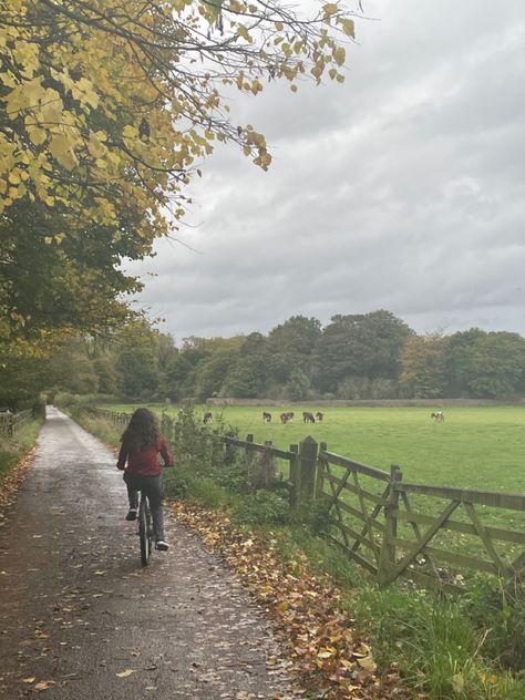 Bike, Park, Field, bike ride, Autumn, rainy day Rainy Countryside Aesthetic, Fall Bike Ride Aesthetic, Autumn Bike Ride, English Autumn Aesthetic, Rainy Bike Ride, Cycling Countryside, Rainy Countryside, Fall Bike Ride, Fall Cycling