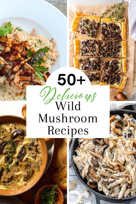 50 Best Wild Mushroom Recipes After A Day Of Foraging - West Coast Kitchen Garden Chef Sampler Mushroom Recipes, Coral Tooth Mushroom Recipes, Exotic Mushroom Recipes, Gourmet Mushroom Recipes, Wild Mushrooms Recipes, Brown Beech Mushrooms Recipe, Mixed Mushroom Recipes, Beech Mushroom Recipe, White Mushroom Recipes