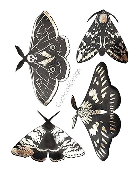 How to make a fun paper moth (template included) - Cuckoo4Design How To Make Paper Moths, Moth Wing Template, Paper Moths Diy, Diy Moth Wings, Cool Moths, Moth Wing Pattern, Moth Template, Moth Sewing Pattern, Moth Template Free Printable