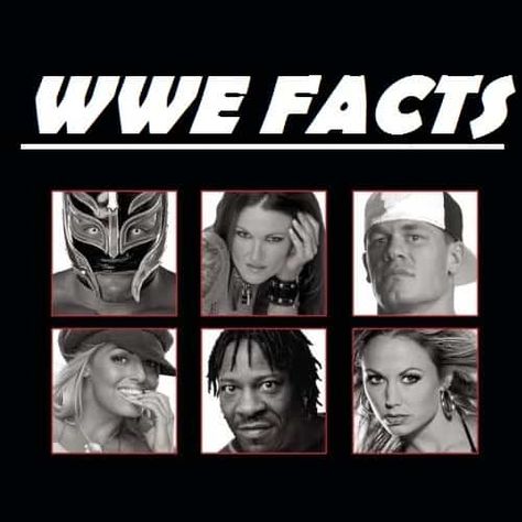 Get lesser known Surprising WWE facts which are shocked you. All WWE facts which you didn’t know. Read interesting WWE facts at Sportycious. Wwe Facts, Jake The Snake Roberts, Rob Van Dam, Chris Benoit, Kurt Angle, Andre The Giant, Jeff Hardy, Ideas For Parties, Shawn Michaels