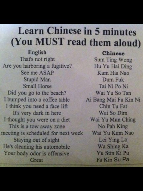 Learn Chinese in 5 Minutes', this is soooooooo politically incorrect, but I'm still laughing! ; ) Learn Chinese Alphabet, Politically Incorrect Humor, Learn Chinese Characters, Mandarin Language, Chinese Lessons, Chinese Language Learning, Chinese Words, The Words, Learn Chinese