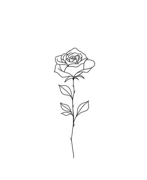 Roos Tattoo, Flor Tattoo, Happy Teacher, Getting A Tattoo, Pretty Tattoos For Women, Minimalist Tattoos, Nature Drawing, Tree Tattoo, Rose Art