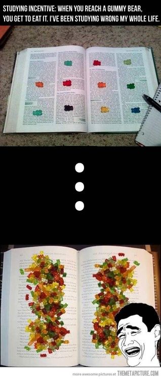 Motivational study Back To University, What I Like About You, School Study, Rage Comics, Cool Ideas, Have A Laugh, Gummy Bears, Laughing So Hard, Funny Pins