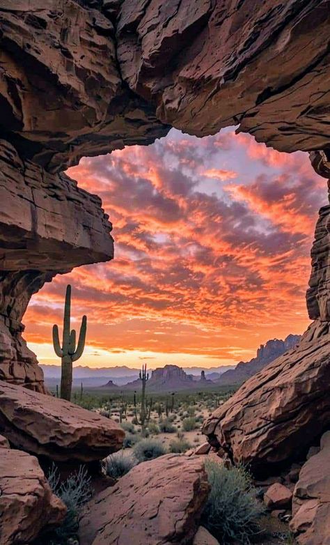 Sedona National Park, Colorado Landscape Photography, Mexican Desert Aesthetic, Sunset In The Desert, Sunsets Mountain, Desert Cave, Mountain Sunsets, Superstition Mountains Arizona, Cactus Aesthetic