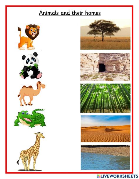 Animals and habitat worksheet Animals And Habitats, Habitat Of Animals, Animal Habitat, Wild Animals And Their Homes, Wild Animals Preschool Activities, Animals And Their Habitats, Animals In Their Natural Habitat, Habitat Worksheets Free Printable, Animal Habitats Kindergarten