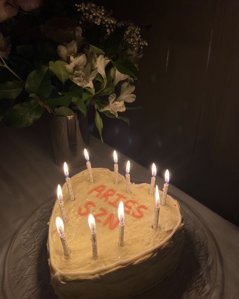 Aries Themed Birthday Party, Aries Season Aesthetic, Aries Season Cake, Aries Szn Cake, Aries Birthday Cake, Aries Cake, Aries Szn, 17 Birthday Cake, Aries Aesthetic