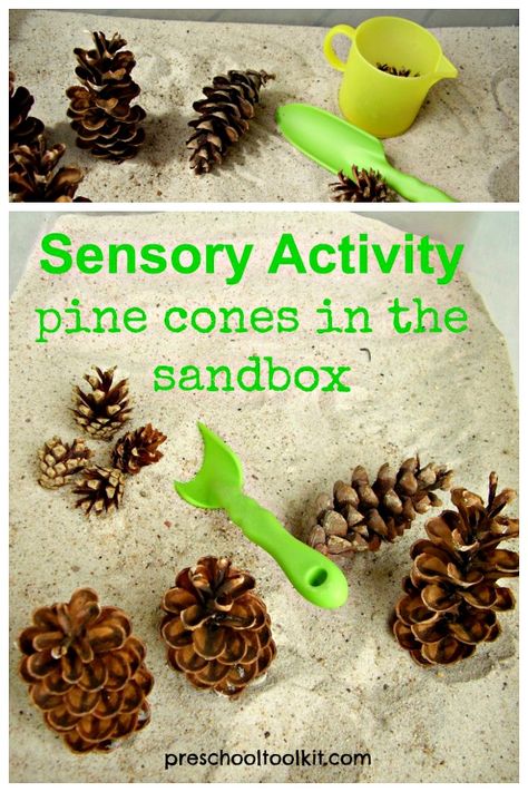 Sandbox with Pine Cones Sensory Activity » Preschool Toolkit Activities With Pine Cones, Sand Tray Ideas Eyfs, Intervention Activities, Hearts Paper Crafts, Pinecone Crafts Kids, Cone Crafts, Tree Study, Nature School, Sensory Activity