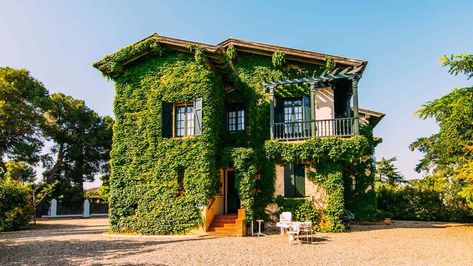 There’s nothing like an ivy-covered green facade or a veranda draped in wisteria—but some vines can cause damage. Learn the pros and cons of vines on a house. Vines On A House, Houses With Vines, Vine On House, Planting Vines, Boston Ivy, Growing Vines, Green Facade, Virginia Creeper, Fragrant Plant