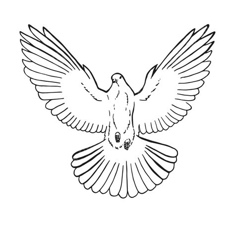 Flying Dove Drawing, White Dove Drawing, Dove Outline, Dove Drawing, Fly Drawing, Dove Images, Crown Drawing, Sun Drawing, Dove Tattoo