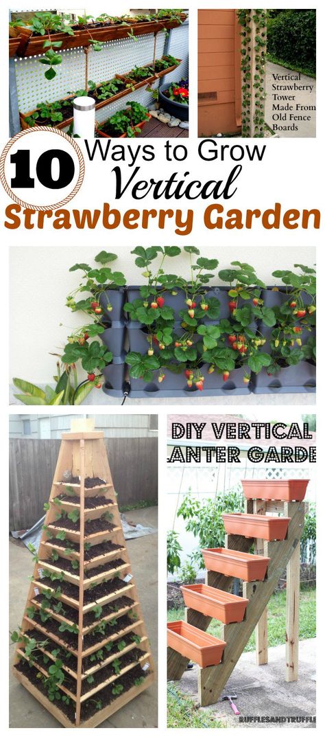 10 DIY Vertical Container Strawberry Planters Vertical Strawberry Garden, Strawberry Planters Diy, Diy Mat, Diy Garden Landscaping, Vertical Vegetable Gardens, Beds Diy, Strawberry Planters, Vertical Vegetable Garden, Vertical Herb Garden