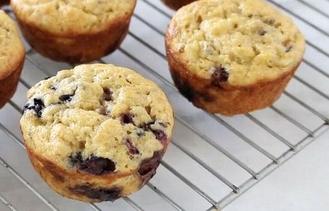 Miracle Muffins: Just One Weight Watchers Point Each! | Marie Bostwick Ww Corn Muffins, Kodiak Blueberry Muffins Weight Watchers, Weight Watchers Blueberry Recipes, Weight Watchers Breakfast Muffins, One Point Muffins, Ww Blueberry Muffins 1 Point, Miracle Muffins Weight Watchers, Kodiak Cakes Muffins Weight Watchers, Weight Watchers Kodiak Muffins