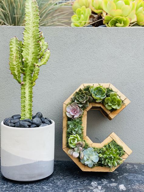 Custom 10" succulent letter C by Rooted Mill Valley Eco Friendly Wedding Decor, Succulent Art, Sensory Garden, Eco Friendly Wedding, Baby Room Design, Beautiful Centerpieces, Ceremony Backdrop, Wire Art, Plant Decor