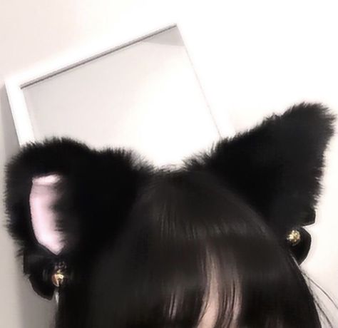 Animal Ears, An Animal, Cat Ears, Black Hair, Mirror, With Friends, Hair, Black