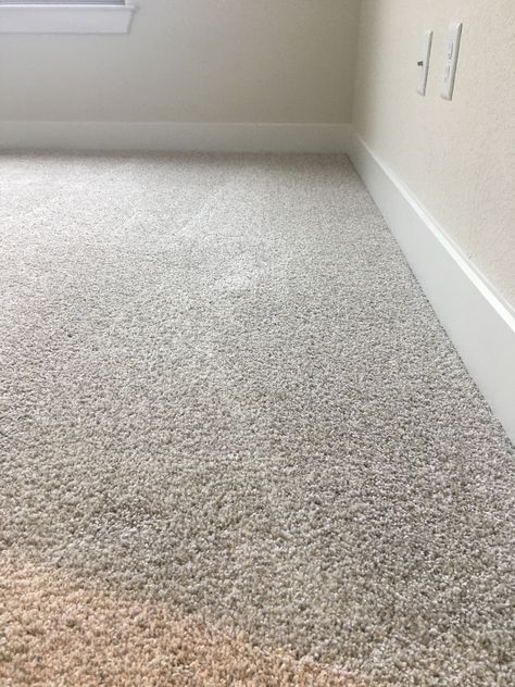 Carpet Floors Bedroom, Oatmeal Carpet Bedroom, Carpet Options For Bedroom, Carpet Rooms Bedrooms, Upstairs Carpet Ideas Bedroom, Living Room Carpet Color Ideas, Carpet Colors 2023, Cream Colored Carpet, Carpet 2023 Trends