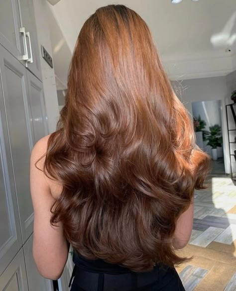 Amber Brown Hair, Brown Hair Natural, Auburn Brown Hair, Long Hair Care, Chestnut Hair, Long Shiny Hair, Chestnut Hair Color, Auburn Brown, Red Hair Inspo