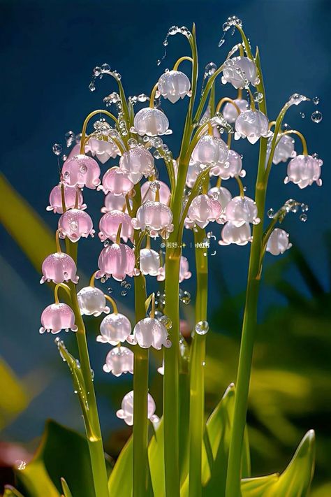 Pink Lillies Bouquet, Pink Lillies Aesthetic, Flower Aesthetic Purple, Cute Nature Aesthetic, Lillies Aesthetic, Lillies Bouquet, Wall Paper Pink, Flower Gardening Ideas, Pretty Flowers Pictures