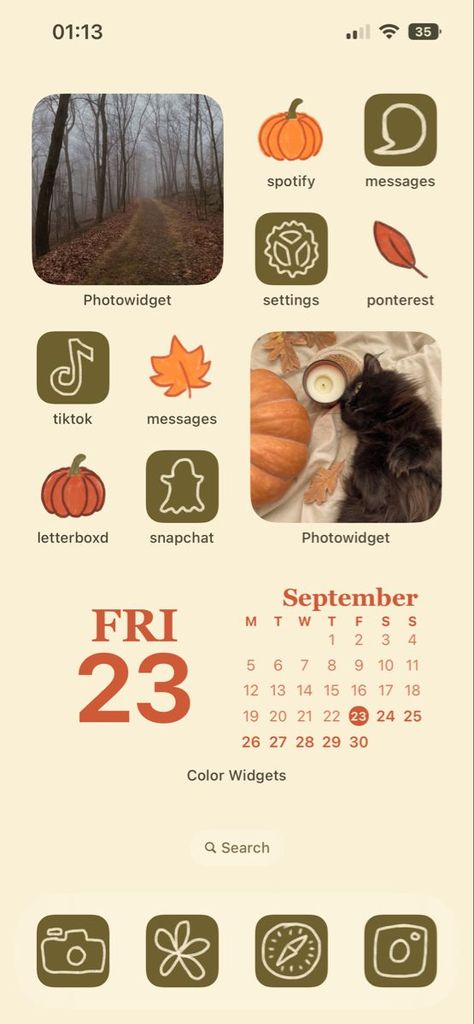 App Organization Iphone Aesthetic Fall, Aesthetic Wallpaper Fall Iphone, Fall Wallpaper Iphone Widgets, October Ios 16 Wallpaper, Halloween Phone Screen Ideas, Wigets Idea Fall, Fall Wallpaper And Widgets, Fall Background Wallpaper Iphone, Fall Iphone Layout Ideas