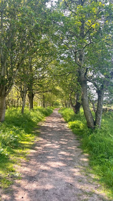 #summer #summerwalks #nature #walks #forest #aurgh Nature, Walking Asthetic Pic, Walking Astethic, Summer Walks Aesthetic, Going On Walks Aesthetic, Walking Asethic, Long Walks Aesthetic, Forest Walk Aesthetic, Nature Walk Aesthetic