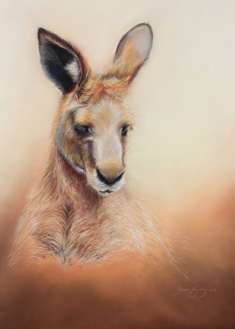 Kangaroo Watercolor Paintings, Rock Wallaby, Colors For Painting, Drawing Mixed Media, Kangaroo Art, Animals Australia, Pan Pastel, Beautiful Sketches, Dry Pastel