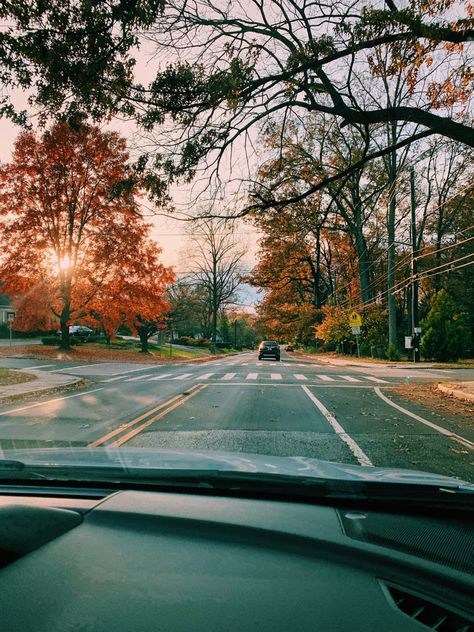 Fall Drive Aesthetic, Suburban Mom Aesthetic, Driving Playlist, Mom Collage, Fall Nostalgia, November Inspiration, Suburban Aesthetic, Fall Drive, Driving Road