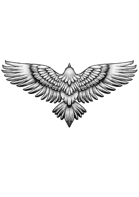 Owl Wingspan Tattoo, Eagle Back Tattoo, Eagle Wing Tattoos, Small Eagle Tattoo, Band Tattoos For Men, Wing Tattoo Men, Hawk Tattoo, Baby Tattoo, Tato Minimal