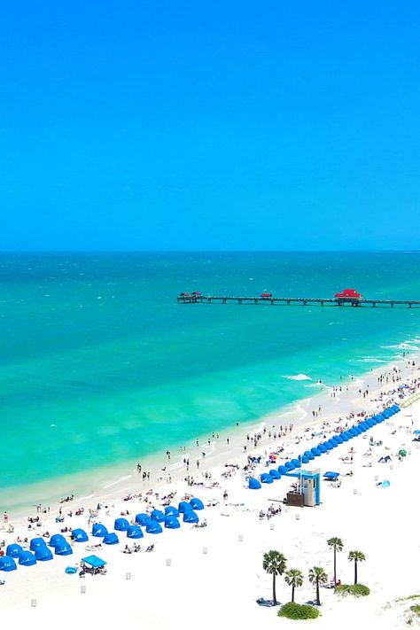 Top 10 Weekend Getaways From Tampa, Florida Tourist Center, Visit Florida, Tampa Florida, Weekend Trips, Beach Fun, Plan Your Trip, Beach Resorts, Weekend Getaways, Day Trip