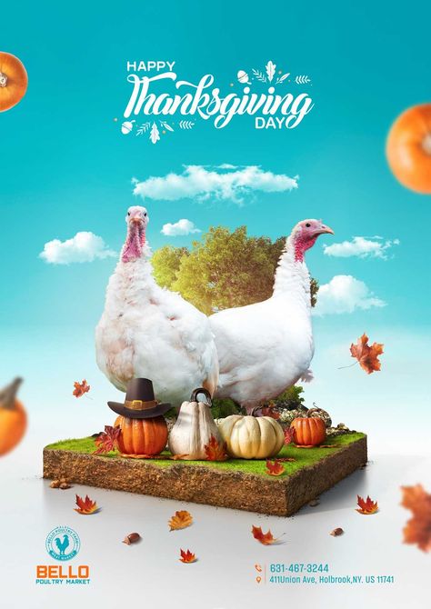 عيد الشكر.بوستر،تصميمي،دجاج تركي،Turkey,chicken,bello,poultry,soual media Turkey Poster Design, Poultry Social Media Design, Thanksgiving Design Poster, Thanksgiving Creative Ads, Thanksgiving Ads, Thanksgiving Post, Thanksgiving Poster, Chicken Logo, Thanksgiving Happy