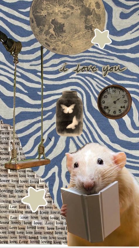 #rat #slay #bestcollage Rat Backgrounds, Rat Wallpapers Aesthetic, Rat Wallpapers, Baby Rats, Funny Rats, Fairy Wallpaper, Cute Rats, Simple Iphone Wallpaper, Orange Cats