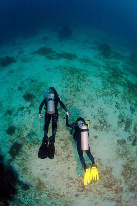 Scuba diving with your lover Scuba Diving Couple Pictures, Diving Photo Ideas, Hairstyles For Scuba Diving, Scooba Diving, Scuba Diving Aesthetic, Scuba Diving Couple, Diving Aesthetic, Diving Pictures, Scuba Diving Suit