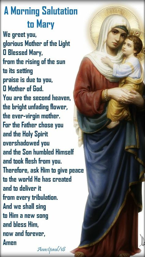 Morning Offering, Catholic Prayers Daily, Thanksgiving Prayer, Blessed Mary, Novena Prayers, Steven Furtick, Evening Prayer, Spiritual Prayers, Mama Mary