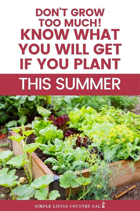 Garden Size For Family Of 5, How Many Plants To Feed Family, Garden Placement, Terraced Vegetable Garden, Cold Frames, Vegetable Garden Tips, Garden Food, Homesteading Skills, Garden Junk