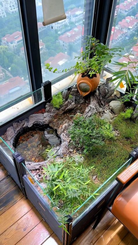 Mini Ponds Backyard, Tortoise Enclosure Indoor, Home Gardening Ideas, Tanaman Air, Kolam Koi, Fish Pond Gardens, Fish Tank Terrarium, Turtle Habitat, Indoor Water Garden