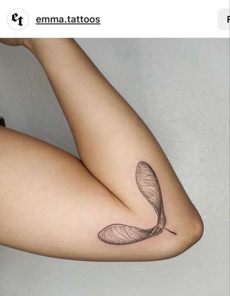 Helicopter Plant Tattoo, Helicopter Leaves Tattoo, Brussel Sprout Tattoo, Hellbender Tattoo, Helicopter Leaf Tattoo, Helicopter Seed Tattoo, Maple Seed Tattoo, Helicopter Tattoo, Sprout Tattoo