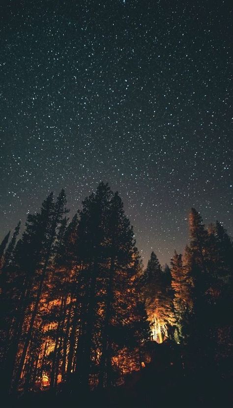 My Season Aesthetic, Fall Sky Wallpaper, Dark Fall Aesthetic Wallpaper Iphone, Night Stars Wallpaper Aesthetic, Night Time Forest Aesthetic, Early Winter Wallpaper, Aesthetic Mountain Pics, Woodland Wallpaper Iphone, Witchy Winter Wallpaper