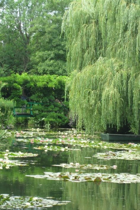 Aesthetic Garden Ideas, Elegance Aesthetic, Willow Garden, Giverny France, Garden Aesthetics, Day Trip From Paris, Weeping Willow Tree, Willow Trees, Arte Grunge