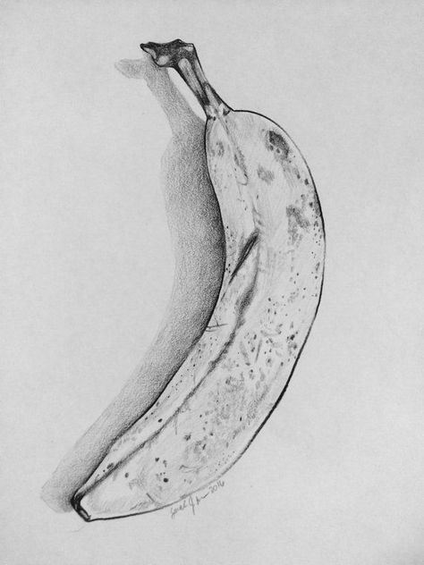 Banana Sketch, Fruit Sketch, Basic Sketching, Fruit Art Drawings, Realistic Sketch, Fruits Drawing, Realistic Pencil Drawings, Nature Art Drawings, Observational Drawing