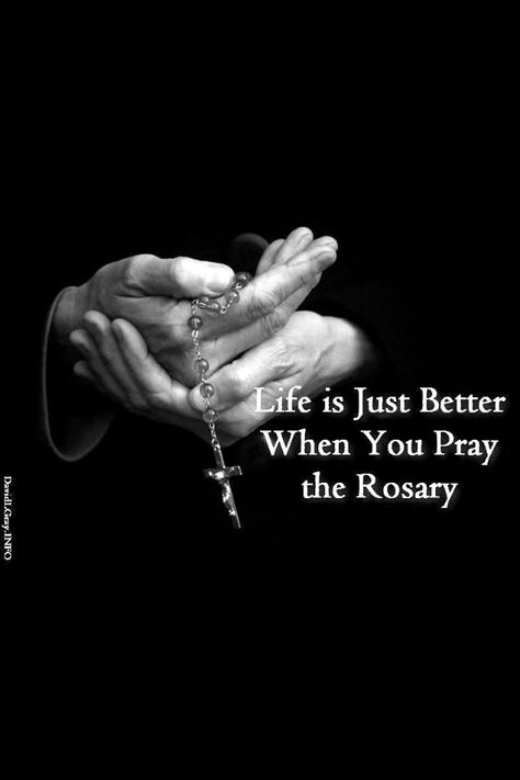 The Rosary Pray The Rosary, Praying The Rosary, Holy Rosary, Blessed Mother Mary, Divine Mercy, Holy Mary, The Rosary, Catholic Quotes, Hail Mary