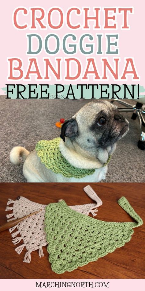 A cute pug wearing a green dog bandana with a scalloped border Crochet Dog Bowl Mat Pattern Free, Cat Bandana Crochet Pattern, Easy Crochet Dog Bandana, Cat Bandana Crochet, Dog Hats Diy Free Pattern, Crochet Pet Bandana Free Pattern, Crochet Dog Clothes Free Pattern Easy, Bandana Pattern Crochet, Crochet Bandana Dog