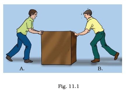 Class 8 Important Questions for Science – Force | AglaSem Schools Force And Pressure, East Direction, Previous Year Question Paper, Class 8, Science Units, Sample Paper, Astronauts In Space, Question Paper, Low Pressure