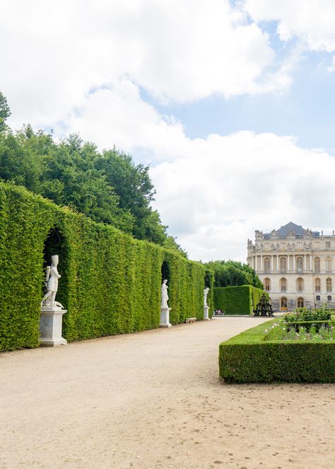 versailles gardens on design darling Palace Of Versailles Garden, Garden Maze Aesthetic, Castle Garden Aesthetic, Versailles Gardens, Versailles Garden, Design Darling, Chateau Versailles, Magic Garden, Castle Garden