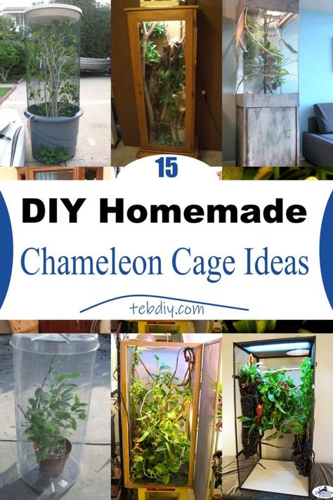 Chameleon Habitat Ideas, Diy Reptile Cage, Veiled Chameleon Enclosure, Diy Chameleon Enclosure, Chameleon Enclosure Ideas, Diy Chameleon Cage, Reptile Room Ideas, Chameleon Cage Ideas, Diy Reptile Enclosure