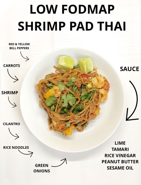 Low Fodmap Soba Noodle Recipe, Low Fodmap Noodles, Low Fodmap Rice Noodle Recipes, Low Fodmap Pad Thai, Low Fodmap Sauces, Low Fodmap Meal Prep, Fodmap Food List, Low Fodmap Diet Plan, Gerd Recipes