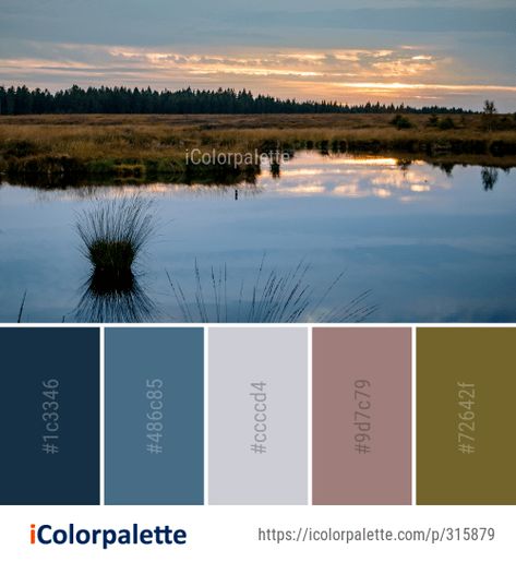 Marsh Color Palette, Water Images, Kitchen Plans, Flowers Perennials, Color Card, Perennials, Color Palette, Color Schemes, Natural Landmarks