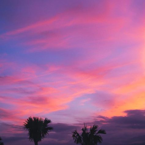 I’m ready for some cotton candy skies!! Nature, Pink Hour, Animation Industry, Cotton Candy Sunset, Colourful Sky, Pastel Skies, Pretty Nature Pictures, Cotton Candy Skies, Sunset Hair