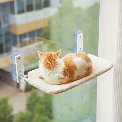 Amazon.com: Cat Window Perch Durable Cat Hammock Seat for Indoor Cats Reversible Mat Use Year-Around Foldable Cat Bed Providing All-Around Sunbath Saving Space Washable Holds Up to 40 lbs (Plush Beige) : Pet Supplies Cat Window Hammock, Cat Window Perch, Window Perch, Hammock Bed, Cat Window, Cat Hammock, Indoor Cats, Indoor Cat, Cat Bed