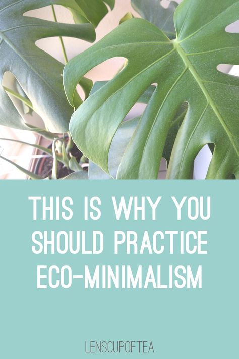 The top part shows a photo of a monstera plant. The bottom part has the text "This is why you should practice eco-minimalism" on a turquoise background. Eco Minimalism, Living With Less, Hand In Hand, Sustainability, Adoption, Eco Friendly